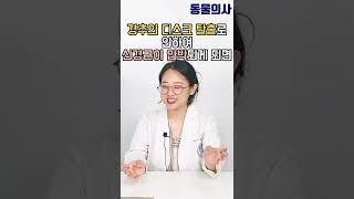 이게 반려동물 목 디스크 증상이었다? | 동물의사 Animal Doctor #동물병원 #강아지디스크 #고양이디스크