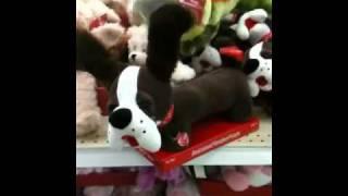 Toy dog at Meijer