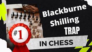 Most Used Chess Trap In The World!!! The Blackburne Shilling Gambit Trap #Chess Opening Trap