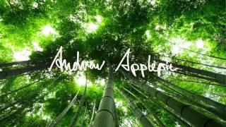 Andrew Applepie - Ninja Monkey