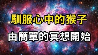 靜修之路：「止」與「觀」的修煉。馴服心中的猴子，由簡單的冥想開始！心靈的自我觀照，馴服心猿意馬的冥想之道；靜修之路上的初步成果。 #開悟 #覺醒 #靈性成長