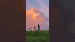 Country roads take me home:) #music #aesthetic #weather