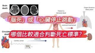 「腦死」或「心臟停止跳動」：哪個比較適合判斷死亡標準？