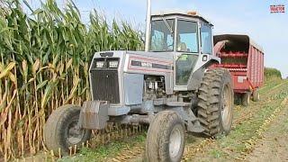 WHITE 120 Tractor Harvesting Corn