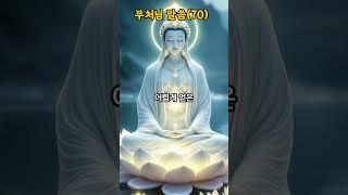 부처님 지혜의 말씀(70), -윤회- #석가모니 #명언 #불경