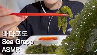 ASMR l 바다포도 아그작아그작,  Sea Grape, 海ぶどう, crispy sound :) with earphone