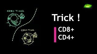 Trick to Remember T cell function | Basic Science Series