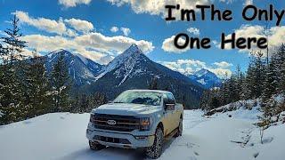 Ford Tremor F150 offroad | ASMR 4x4