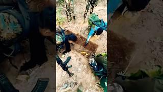 ￼the real jungle warriors #trending #viralshort #ytviral #trendingshorts