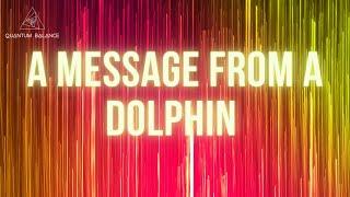 A Message to Humanity  from a Dolphin