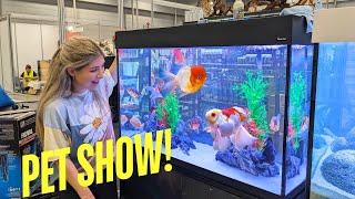Aquariums at the PET SHOW in Brisbane! (Behind The Scenes)