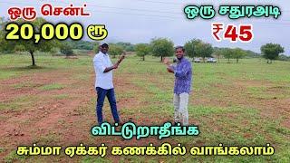 செம்மண் பூமி இந்த விலைக்கு கிடைக்காது | தாராளமா முதலீடு செய்யலாம் | farm land sale  tiruppur vlogger