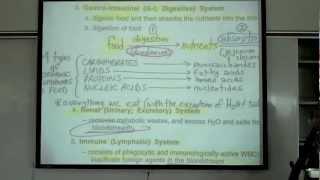 Intro to Human Physiology by Professor Fink