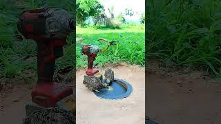 Smart Farming 2 #farming101 #agriculture #viralshorts