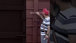 MS metal gate design #shortvideo #youtubeshorts #shorts #short #ssfiberglassshortswithmolisingh