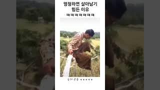 어처구니없는 상황 모음 ㅋㅋㅋㅋㅋㅋ #웃짤