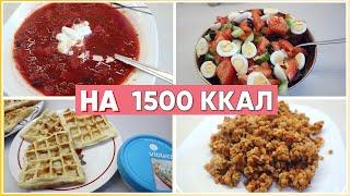ПП МЕНЮ на день на 1500 ККАЛ/ ПП рацион на 1500 ККАЛ