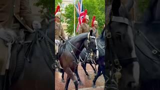 Household Cavalry Rehearses In Heavy Rain ️