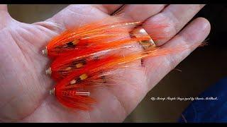 Tying an Ally Shrimp Temple Dog Salmon Fly by Davie McPhail