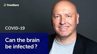 COVID-19: Is coronavirus infecting the brain? | Prof Thomas Hartung, Johns Hopkins University