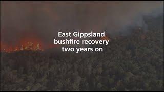 East Gippsland bushfire recovery two years on