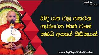 සිඳී යන ජල පහරක හැසිරෙන මාළු වගේ තමයි අපගේ ජීවිතයත්.2541Ven Hasalaka Seelawimala Thero