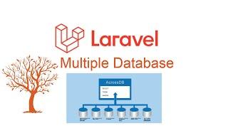 How To Use Laravel Multiple Database Connections