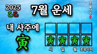 [7월운세] 내 사주에 인(寅)이 있으면, 계미월에는?
