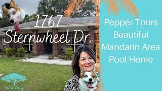Pepper's  Home Tour Pool  in Jacksonville, Florida, Mandarin brick ranch on large lot for sale
