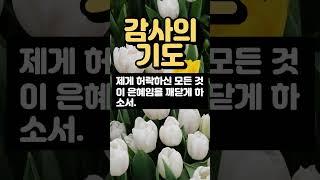 감사의 기도 / 기도 / 감사기도 / 기도속으로 / 1분기도 / 기도쇼츠