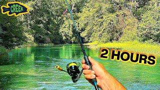 Hot Summer Creek Wading Fishing 2 Hours