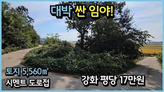 #532 [반값도로접한임야], 토지 5,560㎡, 지석리, 공기청정한 위치에 조용한 시골생활가능, 면사무소시장마트10분, 바다와평야조망짱,남향임야,강화싼땅,나무만베면밭,시멘트도로