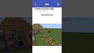 마크에서 가장 희귀한 아이템