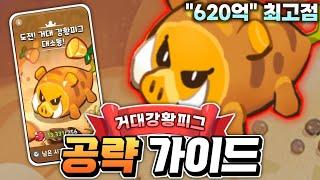 거대강황피그 620억 최고점 조합 공략 가이드보상 싹쓸이하세요 따라만 해도 상위1%