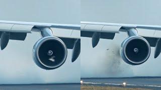 Boeing 747 Bird-Strike