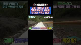금수산 아래 전원주택부지 남향 막장 땅 #sorts #단양토지매매  #금수산 #상리