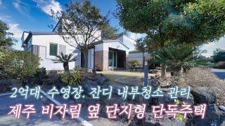 2억대 수영장. 잔디 내부청소 관리. 제주 비자림 옆 단지형 단독주택