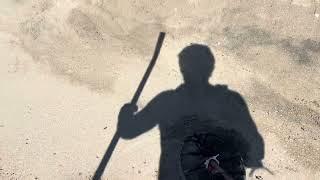 Beach Metal detecting