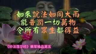 【法華經】如来說法如同大雨，能普潤一切萬物，令所有眾生都得益｜妙法蓮華經｜宣化上人｜佛子