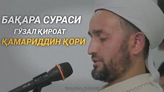 Бақара сураси ( Қамариддин Қори) Baqara surasi 203/233 oyatlar go'zal qiroat (beautiful recitation)