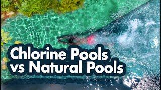 6 Reasons why Natural Pools are Better than Chlorine Pools