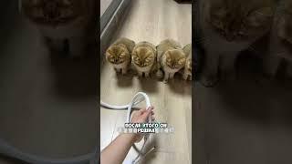 Хотел исправить ситуацию…￼