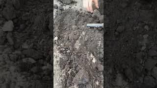 Откопал старую монету на огороде!!! #коп #minelab #кладоискатели