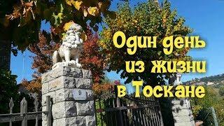 Осенняя Тоскана. Один день русской семьи.