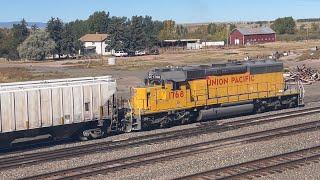 Union Pacific 1768 Switching with chill crew