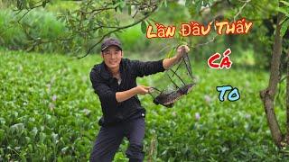 Lấy Lờ Cá Đối Mặt Thủy Quái Và Ổ Chào Mào Mới Nở / HIỆP CUỘI TV