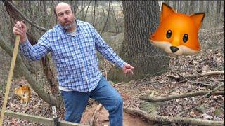 What’s Inside a Fox Den?