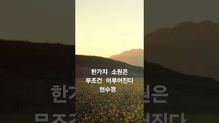 천수경 영인스님 한가지 소원은 반드시 이루어진다 #buddha #불경 #염불 #healing #relax