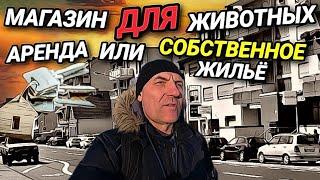 ЖИВОТНЫЕ ОЛИГАРХИ. АРЕНДА ИЛИ СОБСТВЕННОЕ ЖИЛЬЁ. РАБОТА В ПОХОРОНОМ БЮРО.