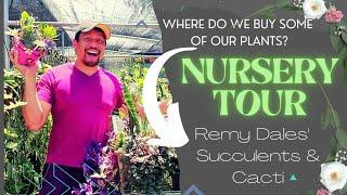 Succulent & Nursery Tour / Where do we source some of our Plants? / Remy Dales' Succulents & Cacti